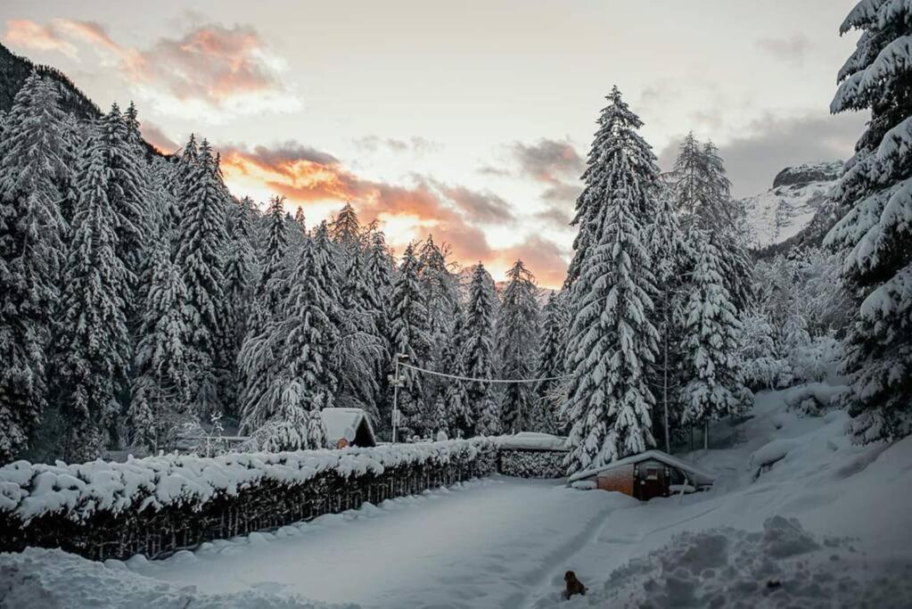 Idyllic Triglav Forest Retreat - Alps, Trails, Lakes, Falls Mojstrana Dış mekan fotoğraf